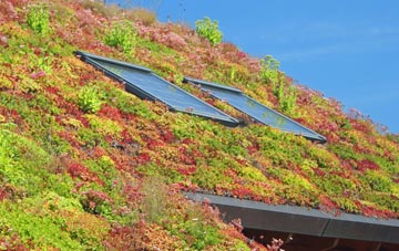 David Street living roof systems
